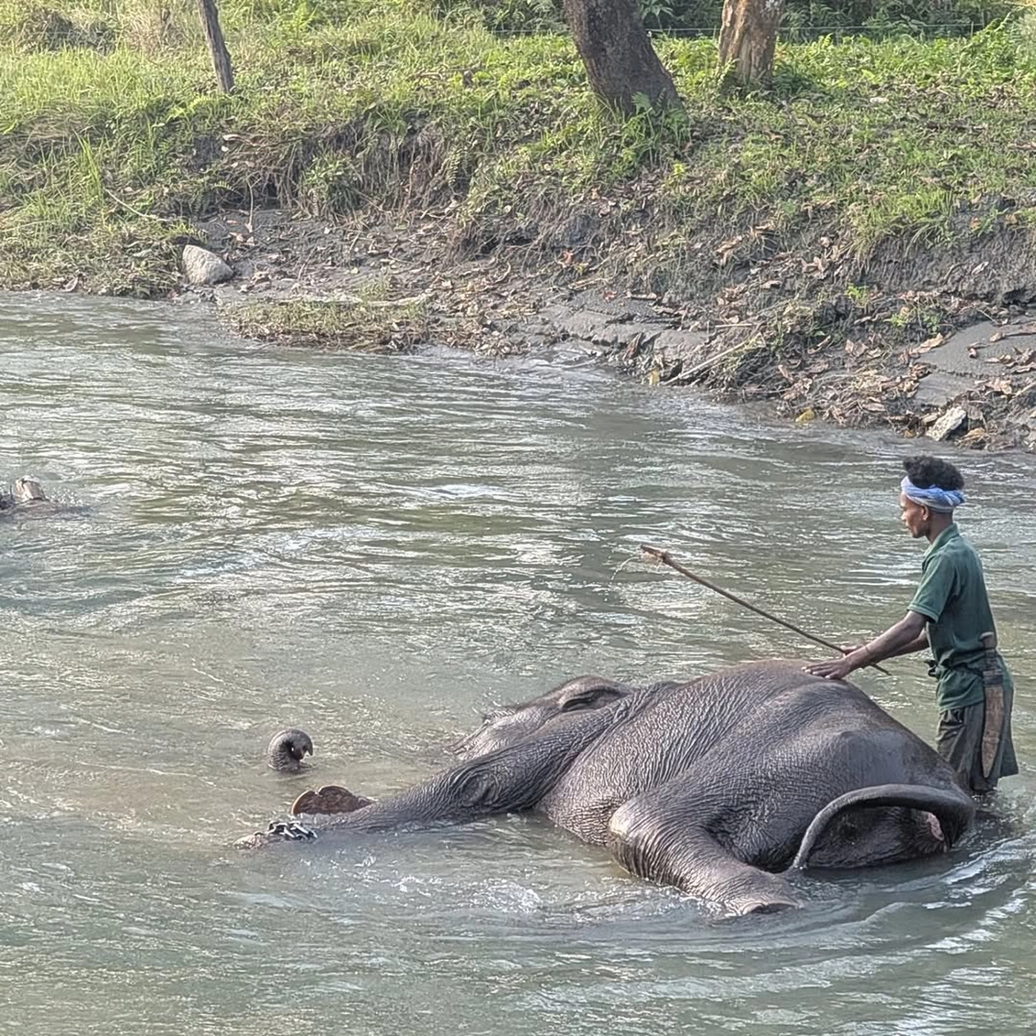 Rupien von Joachim von Loeben
