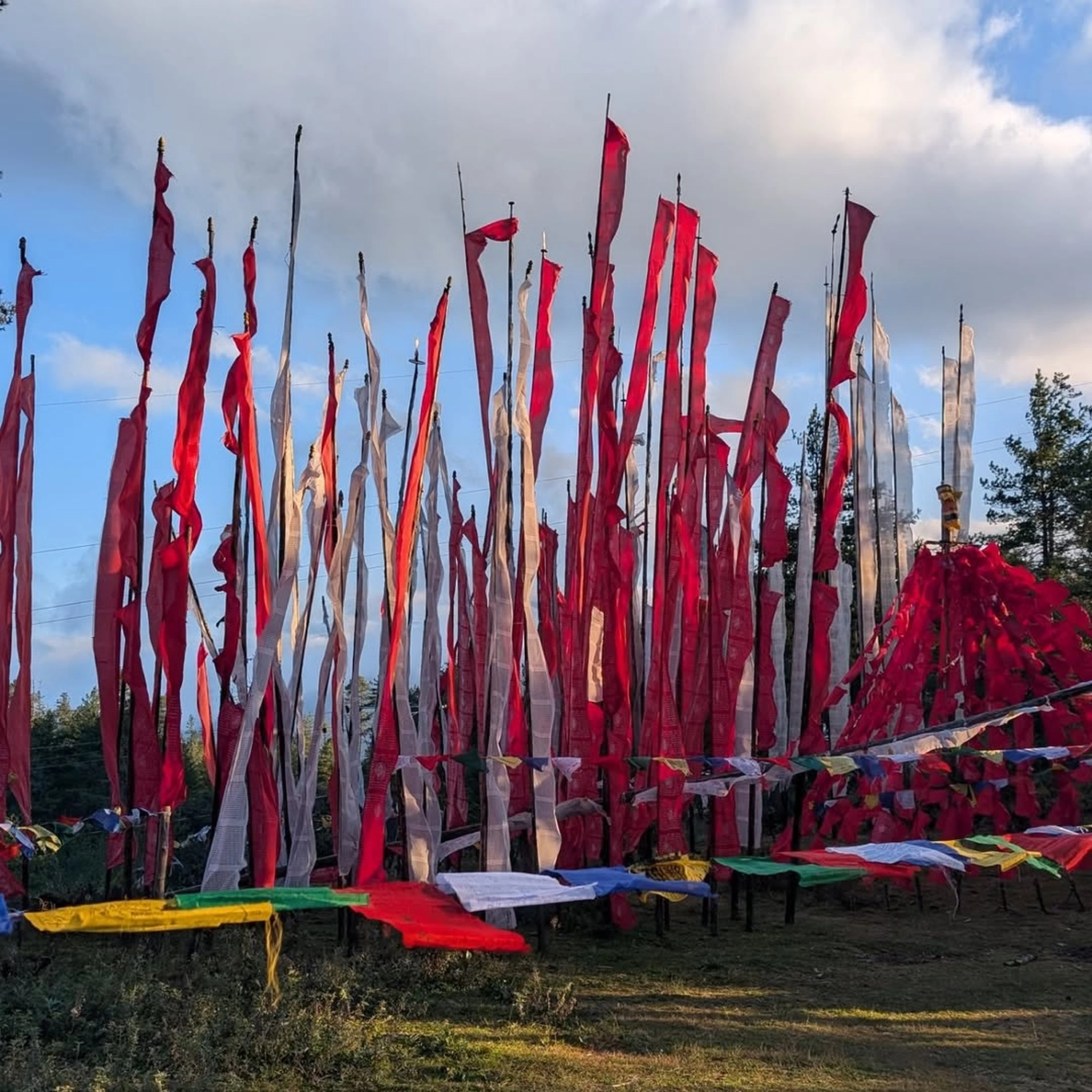 Rupien von Joachim von Loeben