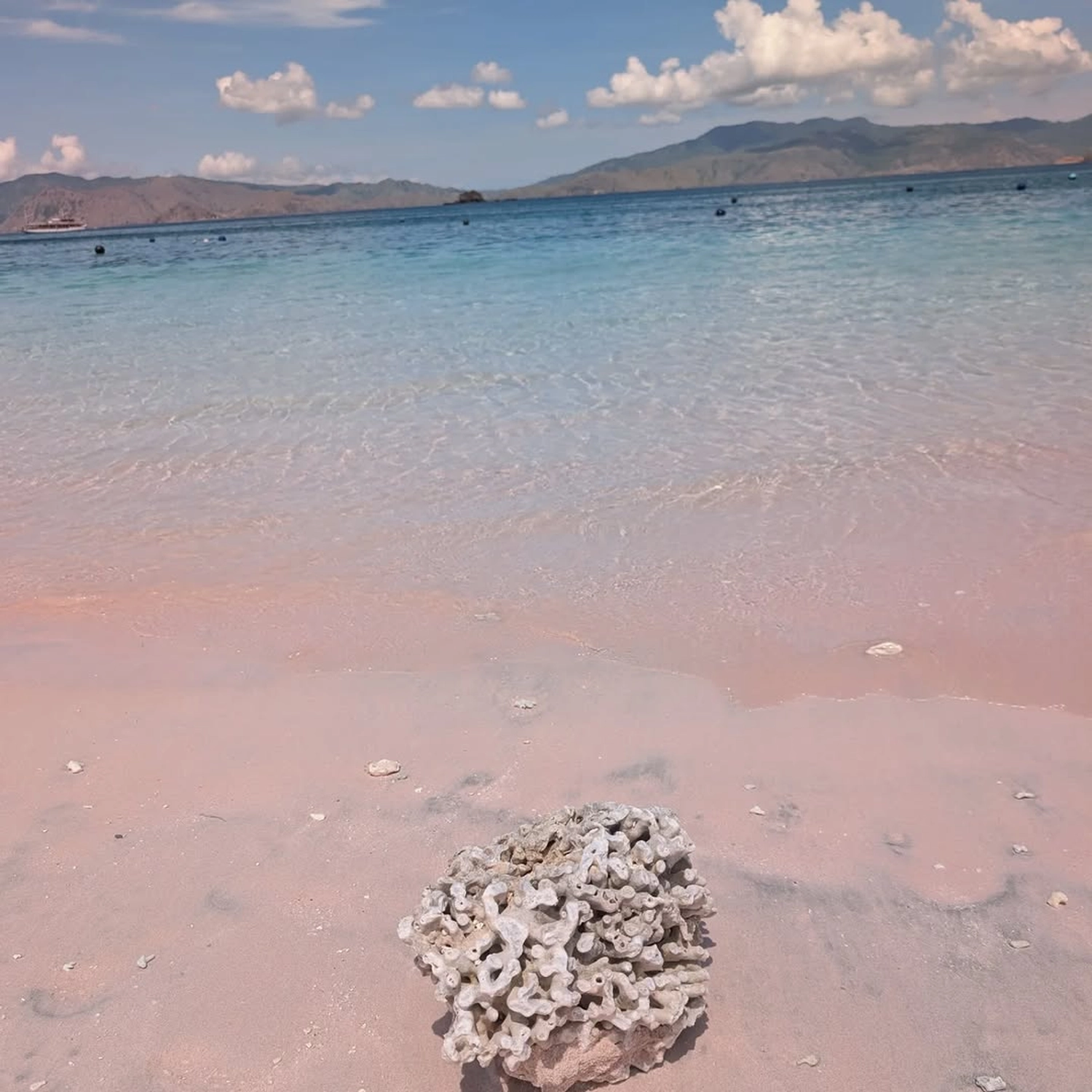 Rupien von Joachim von Loeben