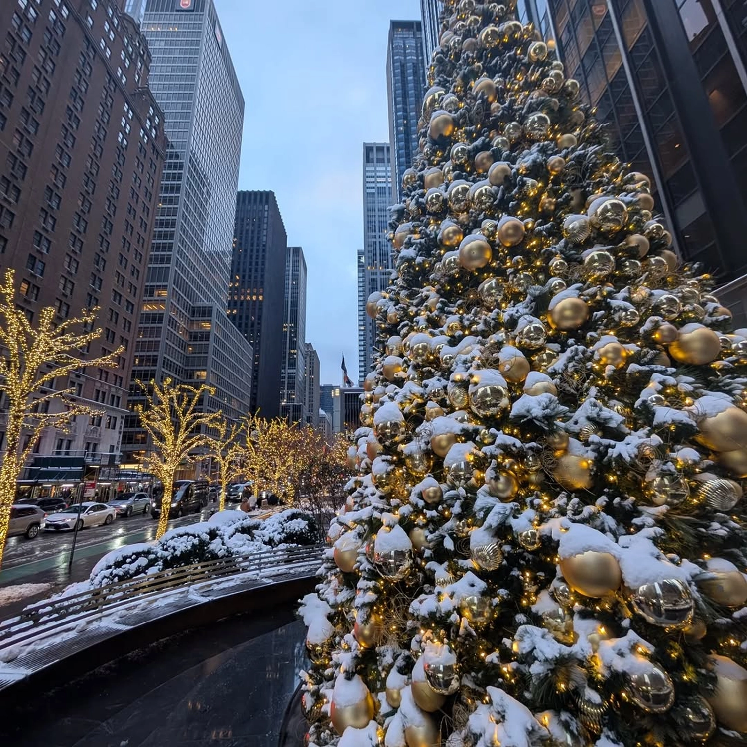 Rupien von Joachim von Loeben