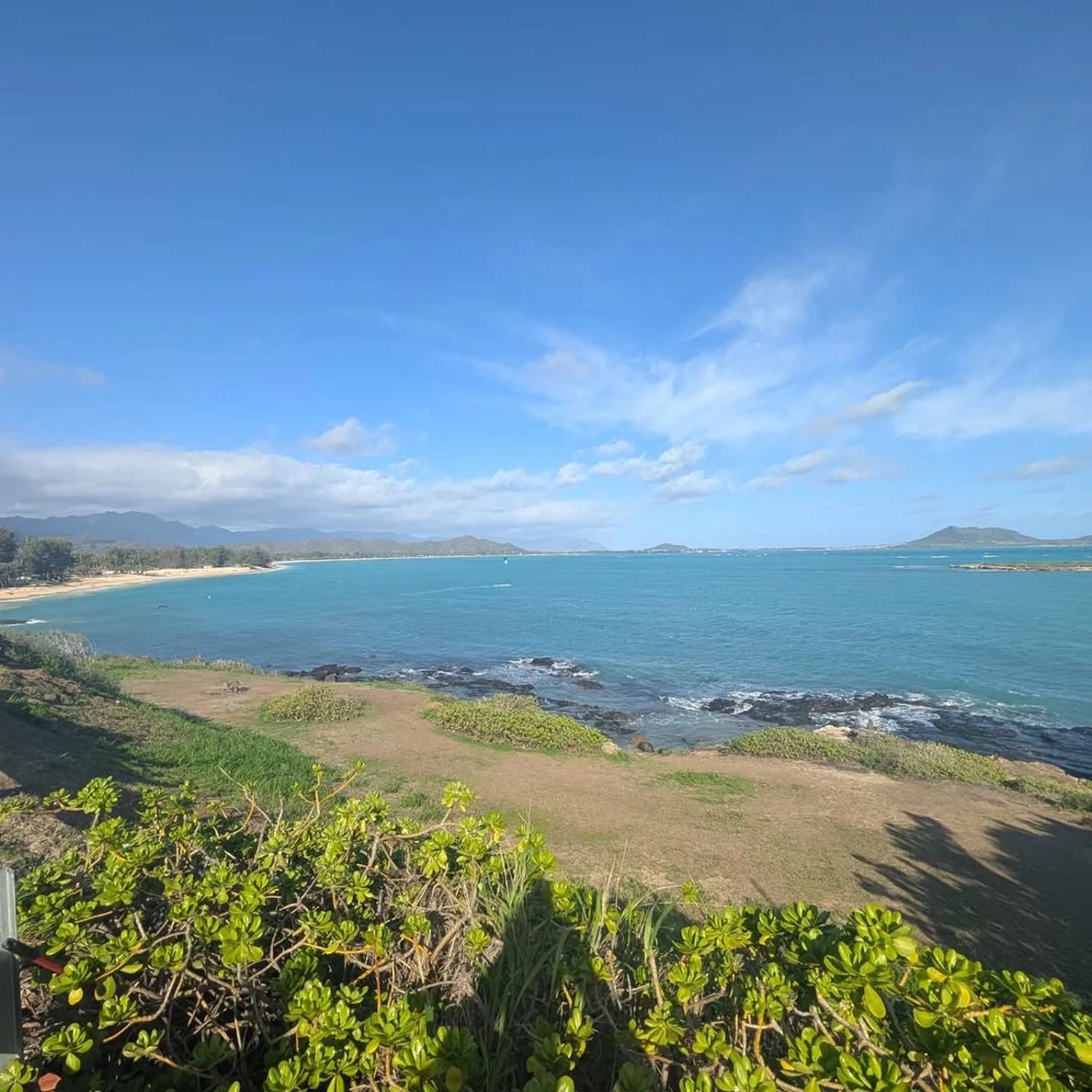 Rupien von Joachim von Loeben