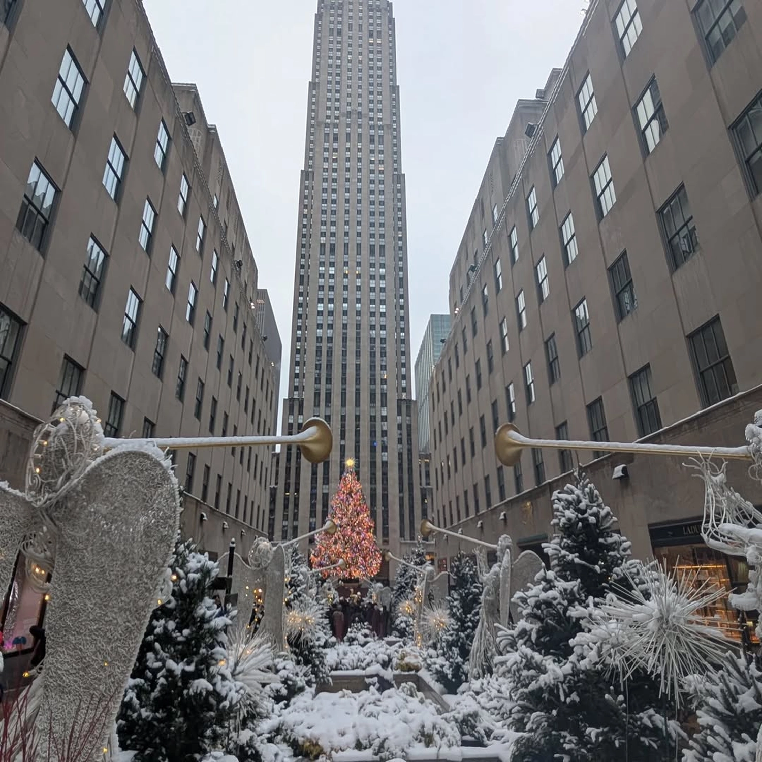 Rupien von Joachim von Loeben