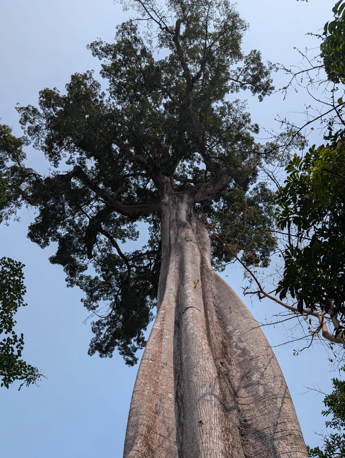 Joachim von Loeben mit einer Dame