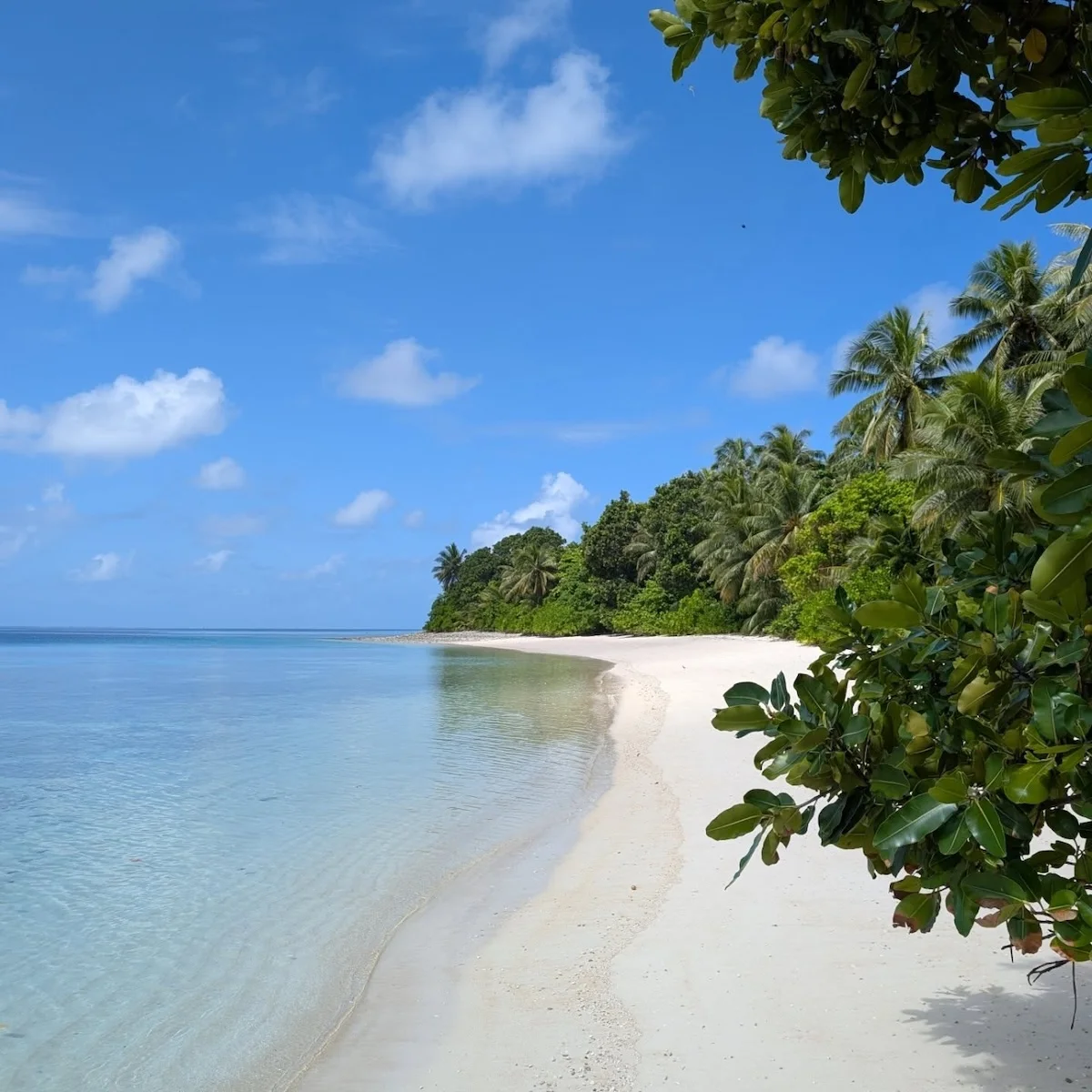 Rupien von Joachim von Loeben