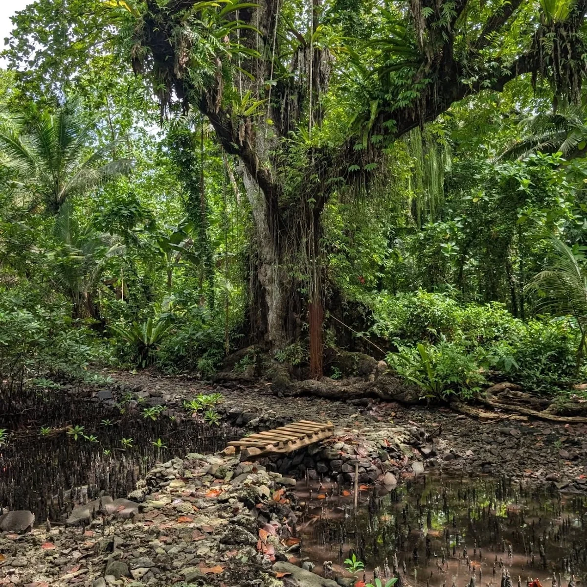 Rupien von Joachim von Loeben