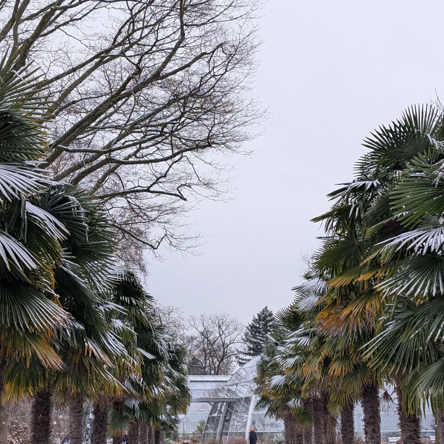 Rupien von Joachim von Loeben