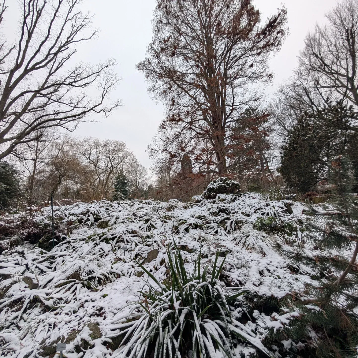 Rupien von Joachim von Loeben
