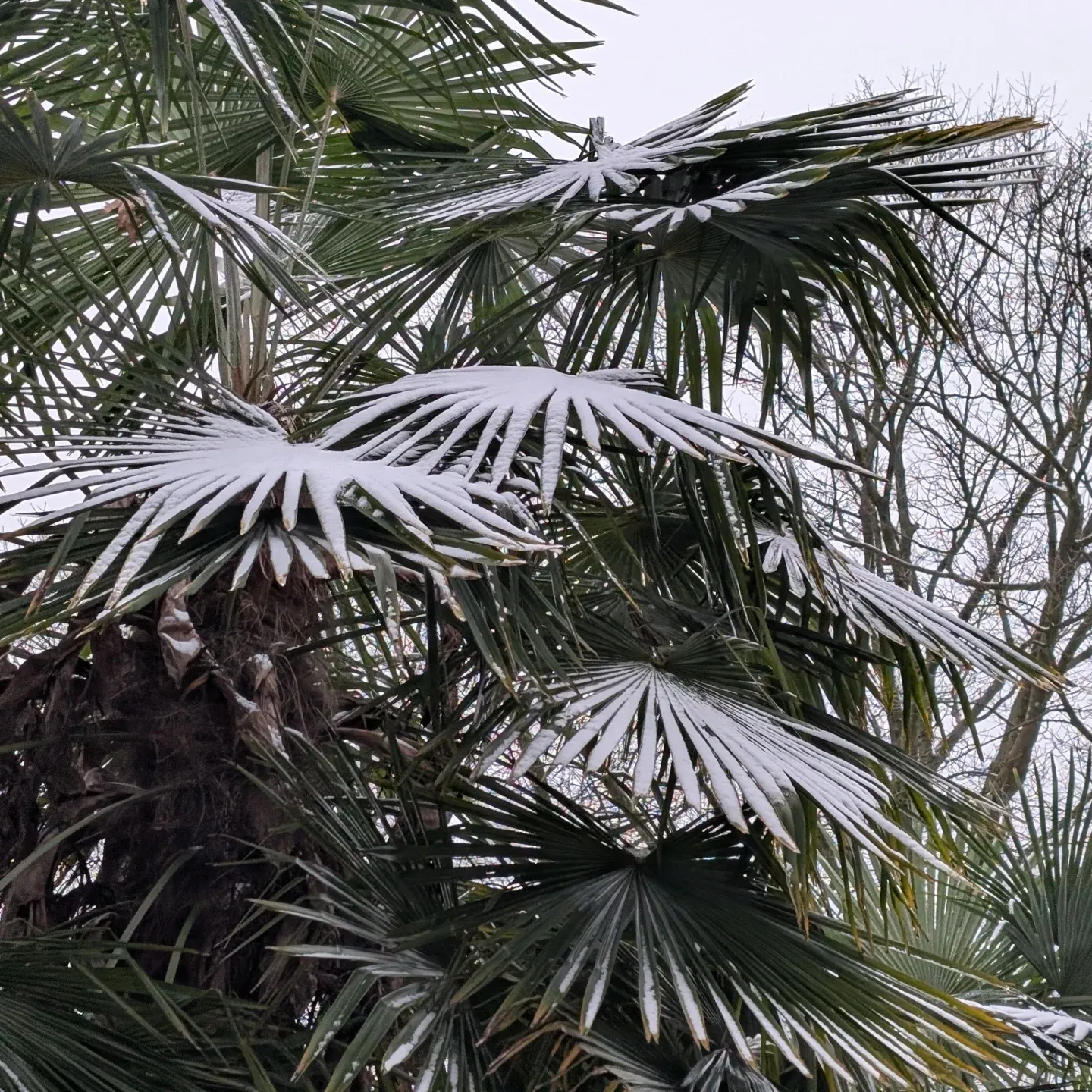 Rupien von Joachim von Loeben