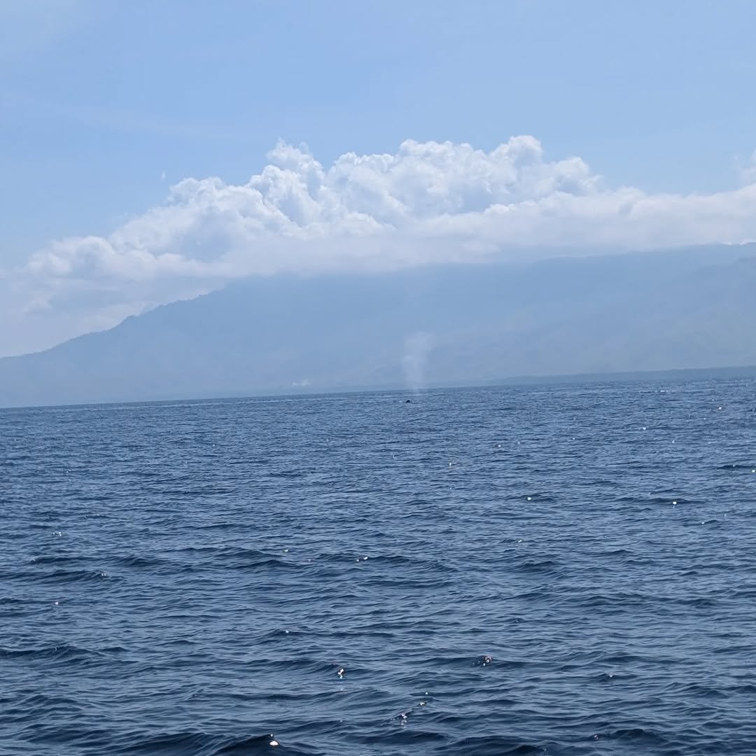 Rupien von Joachim von Loeben